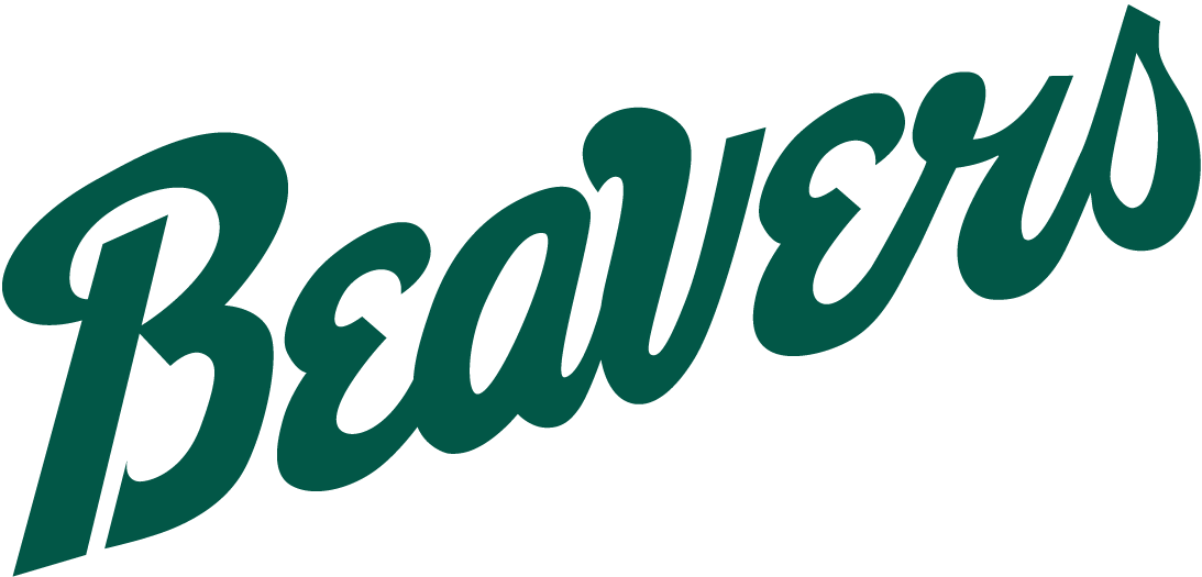 Bemidji State Beavers 2004-Pres Wordmark Logo diy iron on heat transfer